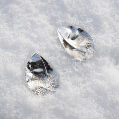 Earrings ASH ALTA velike