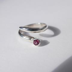 Ring COMET